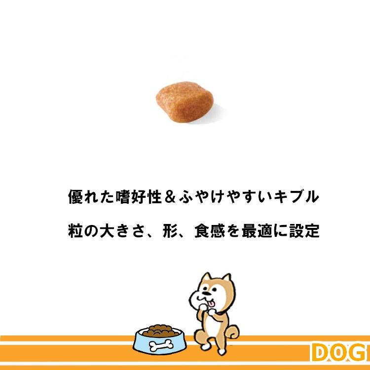 ロイヤルカナン（ROYAL CANIN） BHN プードル 中・高齢犬用 3kg×4