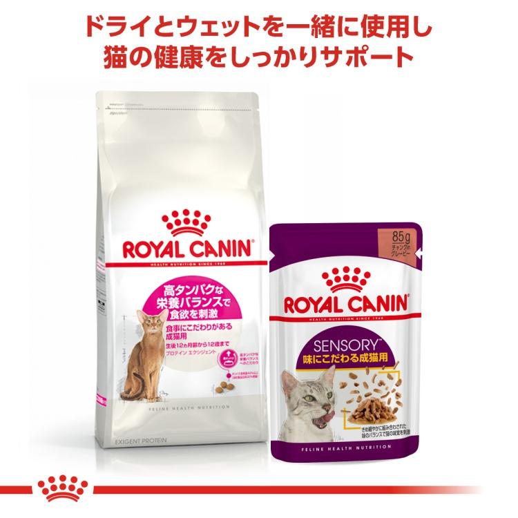 ロイヤルカナン（ROYAL CANIN） FHN プロテイン エクシジェント 食事に