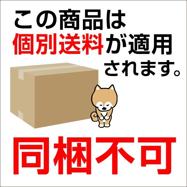 【個別送料・同梱不可】ボンビアルコン 紙工房 流砂 8L×5 (s6810002)●|familypet|02