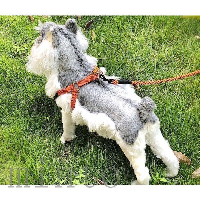 純正卸売 ハーネス リード 犬用 小型犬 中型犬 大型犬 猫用 ペット用品 ペットグッズ 単品 柄入り サイズ調節可能 着脱簡単 縄 シンプル おしゃれ かわい セール銀座 Rafikiorphanage Org