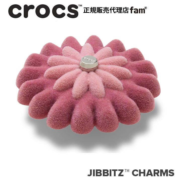 ジビッツ クロックス crocs【アクセサリー jibbitz ジビッツ】NATURE4