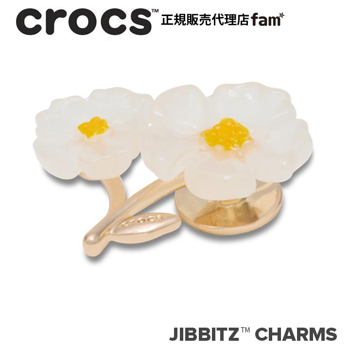 ジビッツ クロックス crocs【アクセサリー jibbitz ジビッツ】NATURE6
