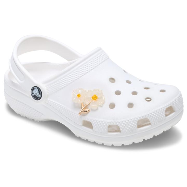 ジビッツ クロックス crocs【アクセサリー jibbitz ジビッツ】NATURE6