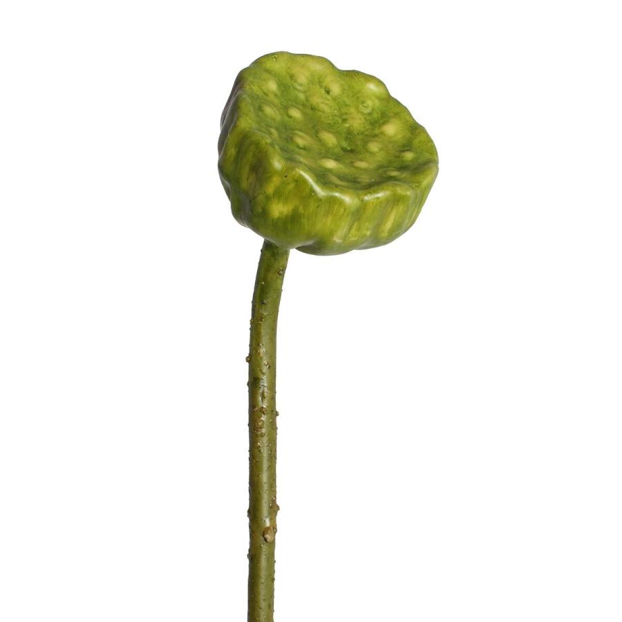 フェイクフラワー 蓮の実 ハス ロータス 造花 1セット（6点） 7554257