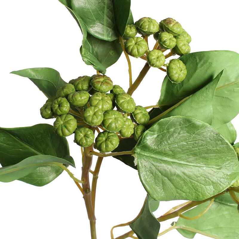 在庫あり 即納 フェイクグリーン 丸葉柊 マルバヒイラギ 造花 1セット 6点 ファン フィールド 通販 Yahoo ショッピング 送料無料 Jeannesauve Org