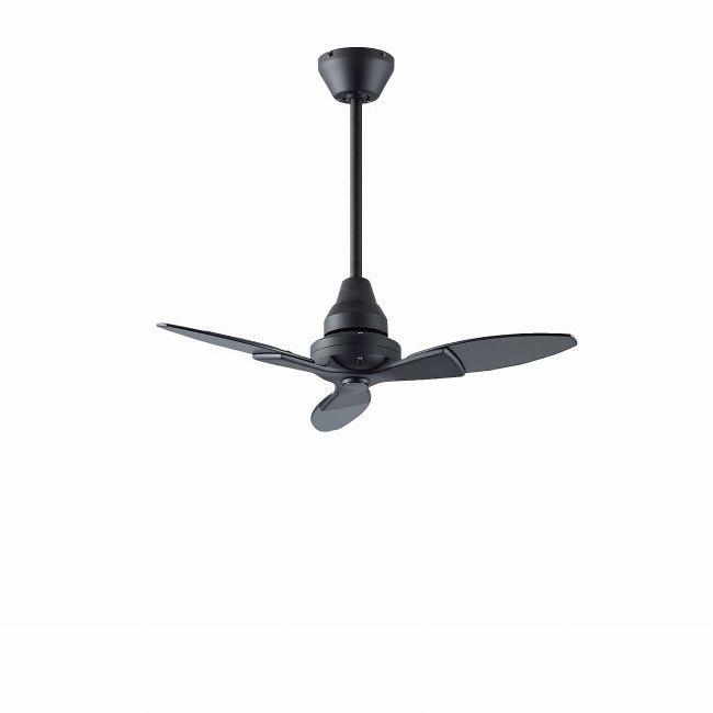 DAIKO シーリングファン（色：ブラック系）｜シーリングライト、天井