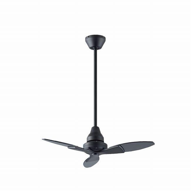 DAIKO シーリングファン（色：ブラック系）｜シーリングライト、天井