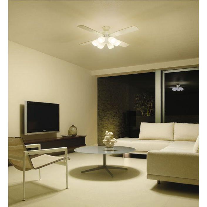 DAIKO（ダイコー） 長期保証 薄型 軽量 LED 6灯 明るさ8畳 ホワイト