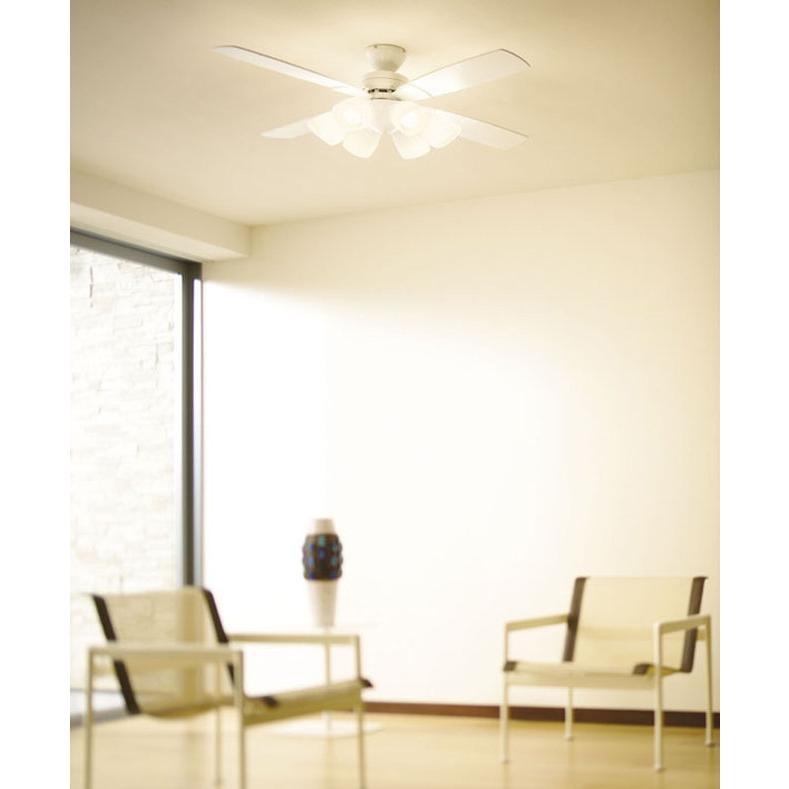 DAIKO（ダイコー） 長期保証 薄型 軽量 LED 6灯 明るさ8畳 ホワイト