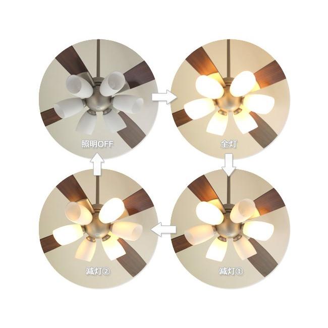 DAIKO（ダイコー） 長期保証 薄型 軽量 LED 6灯 明るさ8畳 ホワイト