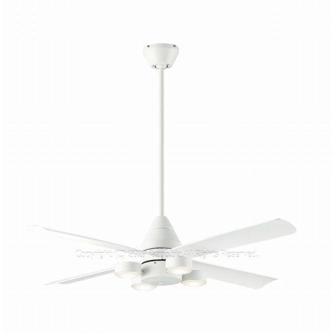 DAIKO（ダイコー） 長期保証 軽量 LED 4灯 DCモーター 大風量 吹き抜け 