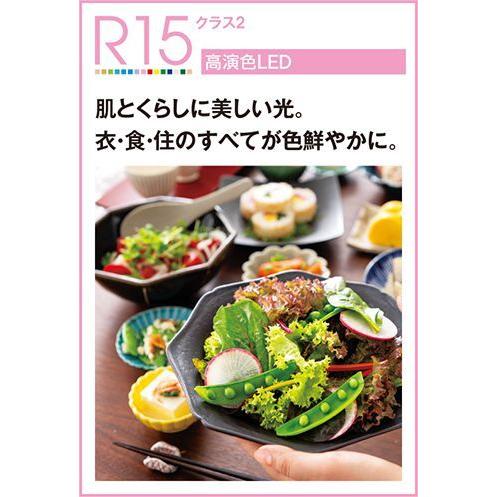長期保証 FLAT FAN [フラットファン] 薄型 小型 軽量 LED 1灯 明るさ8畳 調光 DCモーター オーデリック ホワイト シーリングファン ライト ONE-001