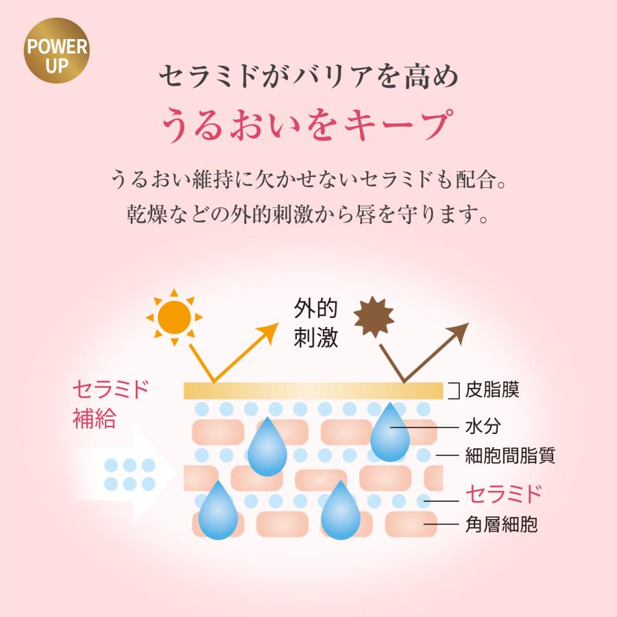 リップクリーム リップ リップパーム リップスティック 無添加リップ 保湿リップ 唇ケア リップケア 保湿 乾燥 ファンケル FANCL 公式 | FANCL | 04