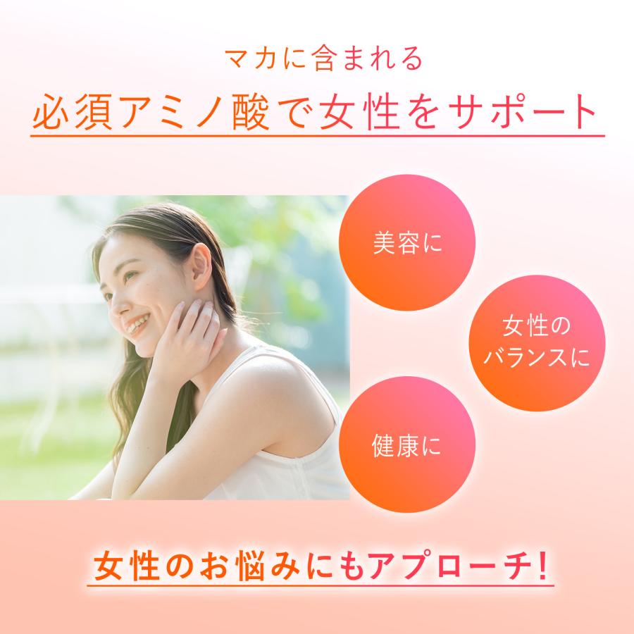 FANCL（ファンケル） マカ 90日分 亜鉛 サプリメント サプリ セレン