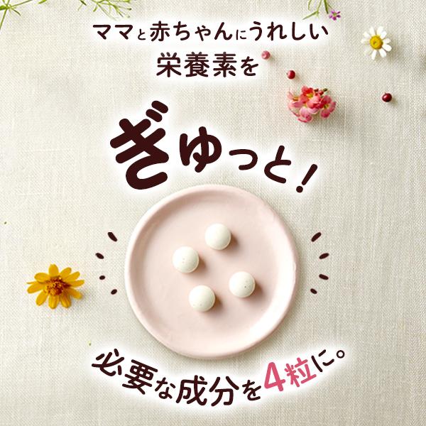 Mama Lula ママルラ 葉酸 ＆ 鉄プラス 栄養機能食品 30日分 葉酸 サプリメント 葉酸サプリ 妊娠中 鉄分 女性 ファンケル FANCL 公式 | FANCL | 08
