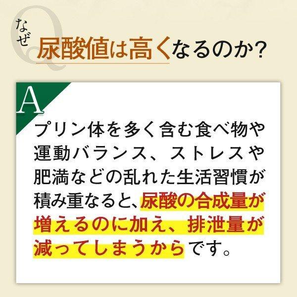 尿酸サポート サプリメント 90日分 高め尿酸値 下げる 尿酸値を下げるには 尿酸値 サプリ キトサン 男性 女性 ファンケル 公式 FANCL｜fancl-y｜06