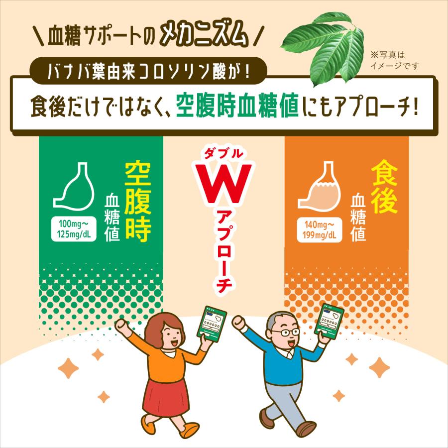 血糖サポート サプリメント 機能性表示食品 90日分 血糖値 サプリ サプリメント バナバ ギムネマ 桑の葉 ヘルスケア 男性 ファンケル FANCL 公式｜fancl-y｜09