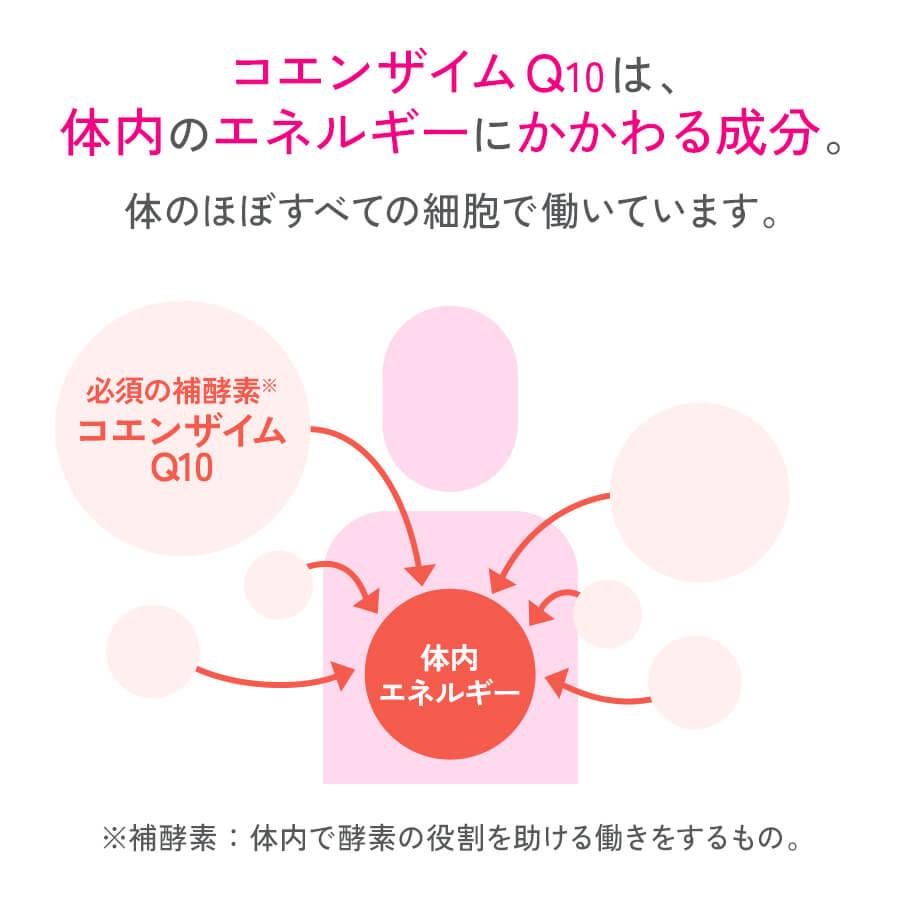 還元型コエンザイムQ10 90日分 サプリメント サプリ コエンザイムq10 美容 健康 エイジングケア coq10 ヘルスケア ファンケル FANCL 公式の画像