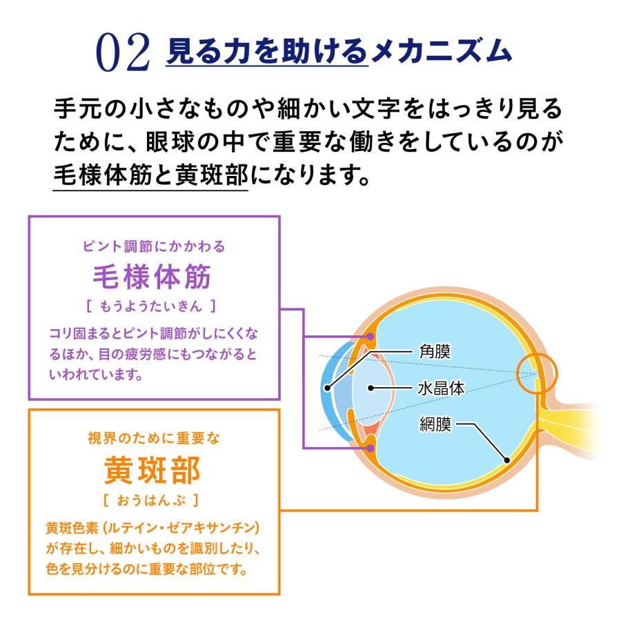 FANCL（ファンケル） 【ポイント最大31%】 えんきん 機能性表示食品
