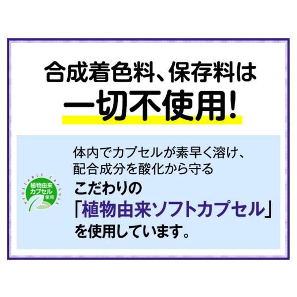 【ポイント15%】えんきん 30日分 サプリメント サプリ ルテイン アスタキサンチン アイケア 目のサプリ ファンケル 公式 FANCL