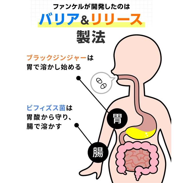 FANCL 【ポイント10%】 内脂サポート 機能性表示食品 90日分 FANCL 【ポイント10%】 内脂サポート 機能性表示食品 90日分