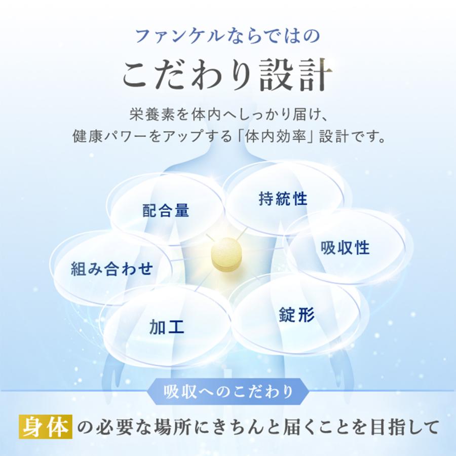 비타민 C 90일분 건강보조식품 사프리 비타민 사프리 미용 건강식품 건강 판클 FANCL 공식