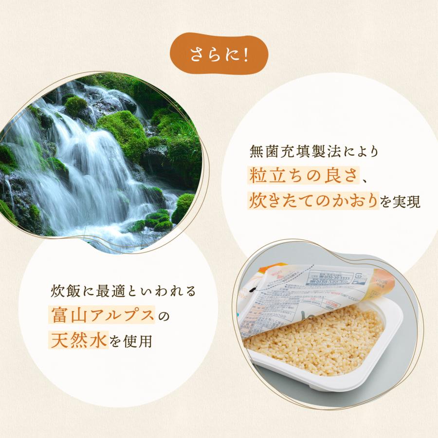 発芽米 パックごはん 発芽米ごはん 1袋 (160g×5パック) 玄米 発芽玄米