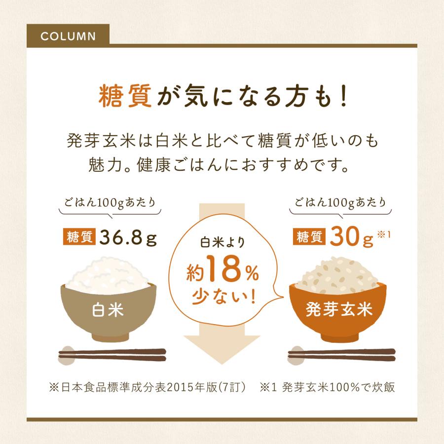 発芽米 パックごはん 発芽米ごはん 1袋 (160g×5パック) 玄米 発芽玄米