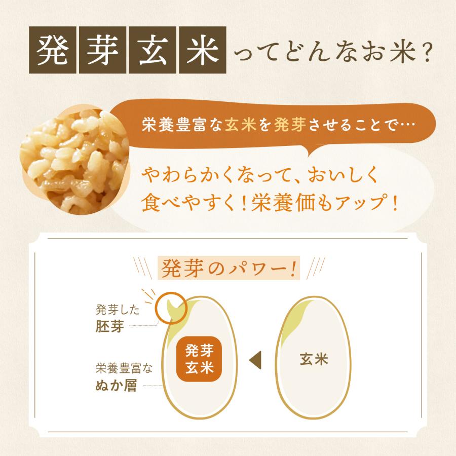 発芽米 パックごはん 発芽米ごはん 1袋 (160g×5パック) 玄米 発芽玄米