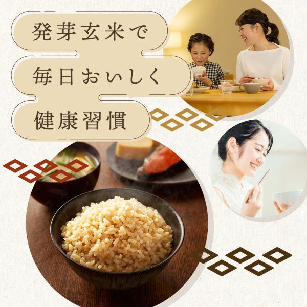 FANCL（ファンケル） 発芽米 4kg 送料無料 発芽玄米 玄米 米 マクロビ