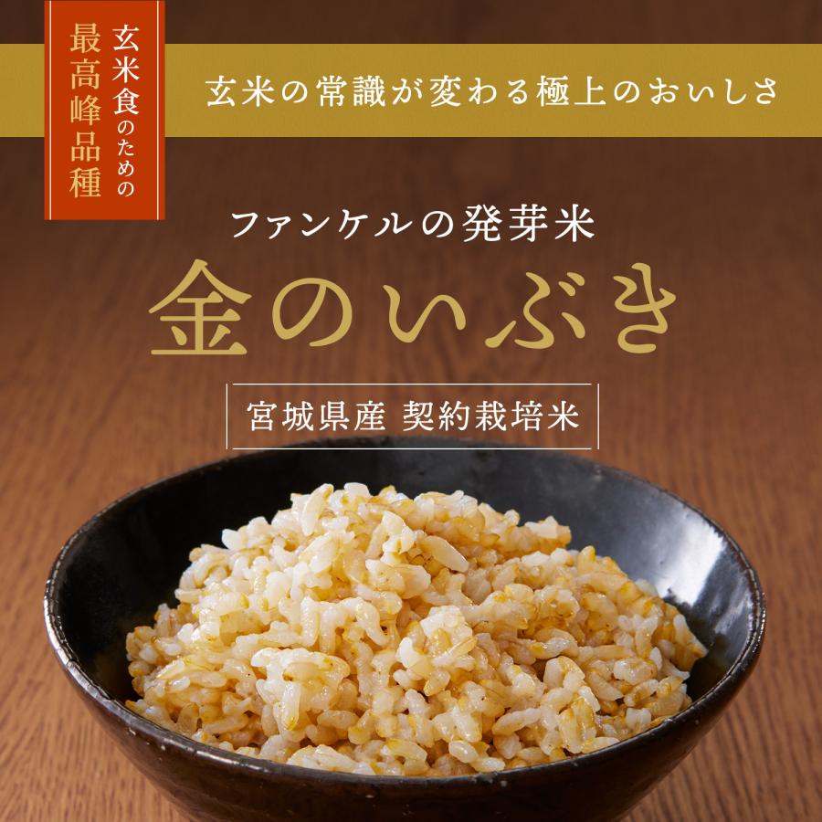 発芽米 金のいぶき 1kg 発芽玄米 玄米 米 お米 ギャバ 健康食品 gaba 食物繊維 マクロビ 栄養食 健康米 カルシウム ファンケル FANCL 公式｜fancl-y｜02