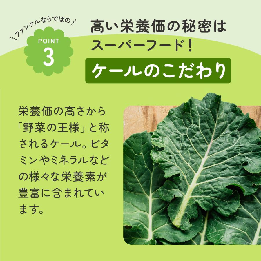 グリーンケールポタージュ 7袋入り 青汁 国産 ケール 健康食品 健康 飲み物 飲料 粉末 野菜不足 パウダー 緑黄色野菜 ファンケル 公式  FANCL | FANCL | 14