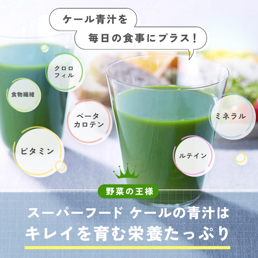 1日分のケール青汁　3箱セット ファンケル 1日分のケール青汁 ( 10g*30本入*3箱セット )/ : 爽快