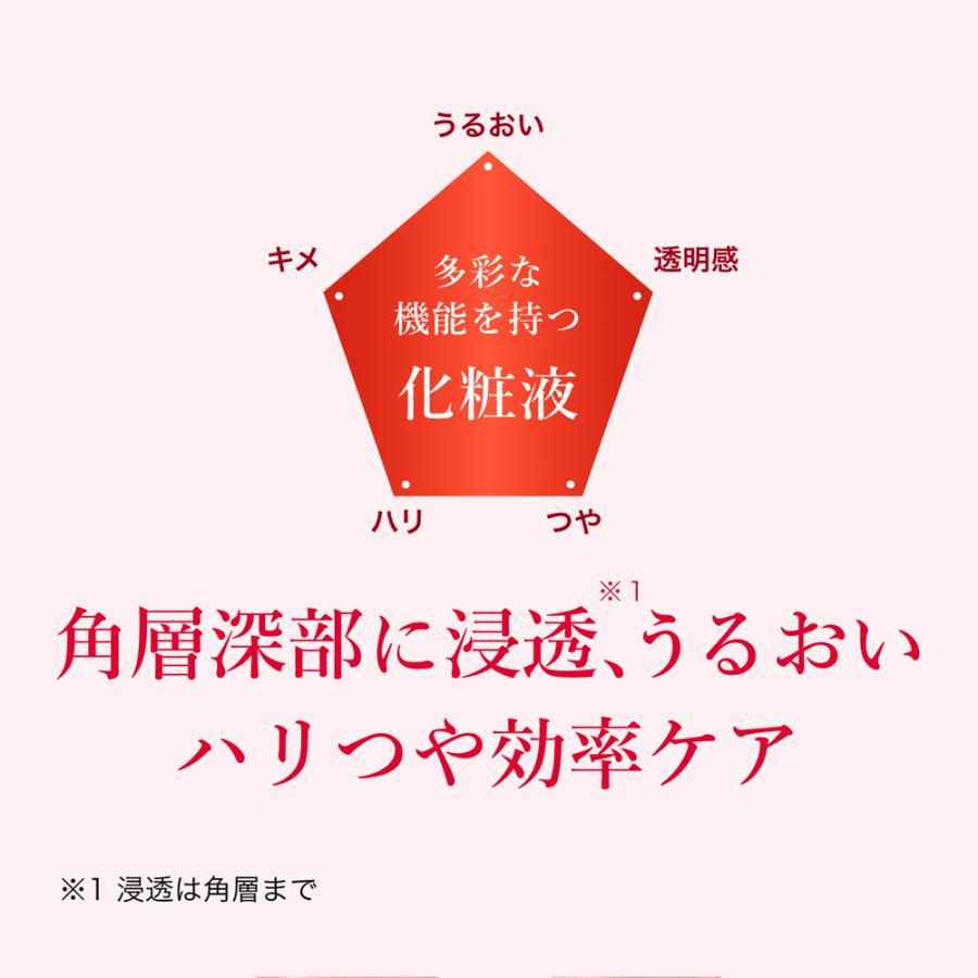 FANCL（ファンケル） ビューティブーケ 発酵浸透化粧液 しっとり