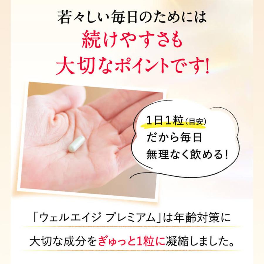 FANCL（ファンケル） ウェルエイジ プレミアム 機能性表示食品 30日分