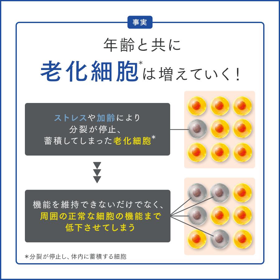FANCL（ファンケル） ウェルエイジ プレミアム 機能性表示食品 30日分