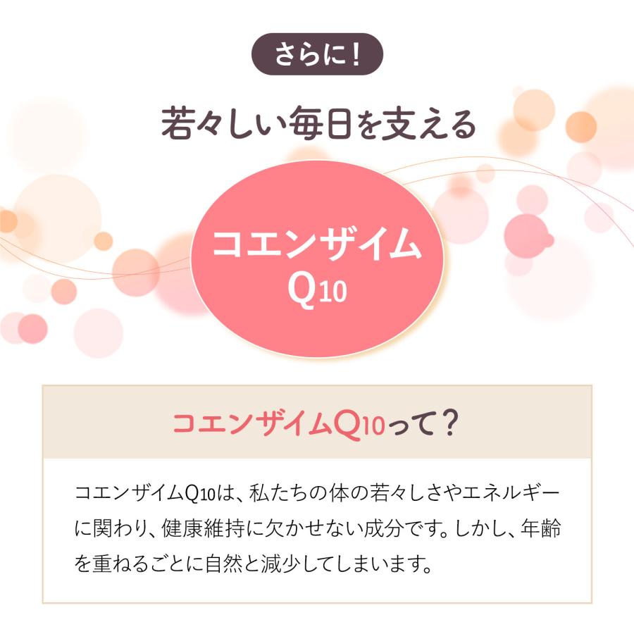 FANCL（ファンケル） 濃縮大豆イソフラボン 乳酸菌プラス30日分 サプリ