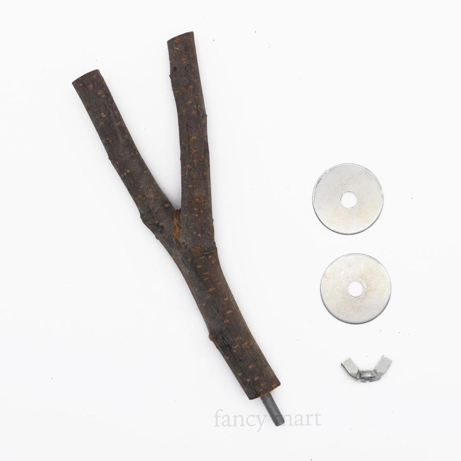 インコ 文鳥 小型 中型インコ 止まり木 4点 セット ステップ 鳥用