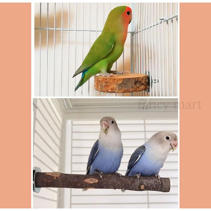 インコ 文鳥 小型 中型インコ 止まり木 4点 セット ステップ 鳥用止まり木 階段 遊び場 天然木 Y型 半円 枝 りんごの木 マメルリハ カナリア｜fancymart｜15