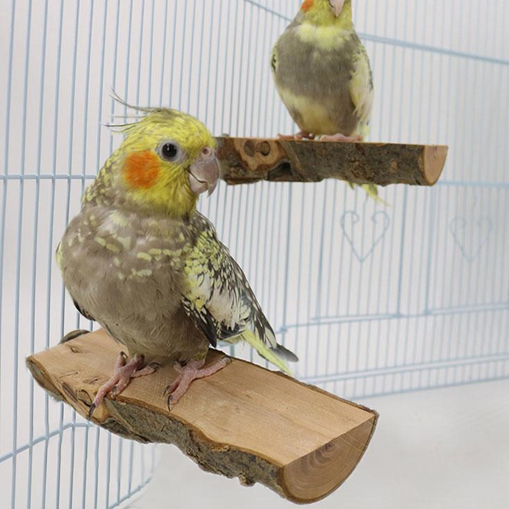 鳥 止まり木 2個セット ステージ リンゴの木 鳥用止まり木 階段