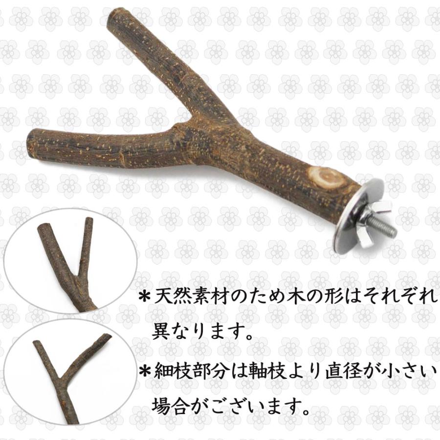 鳥 止まり木 Y型 りんごの木 枝 自然木 階段 遊び場 爪研ぎ 天然木