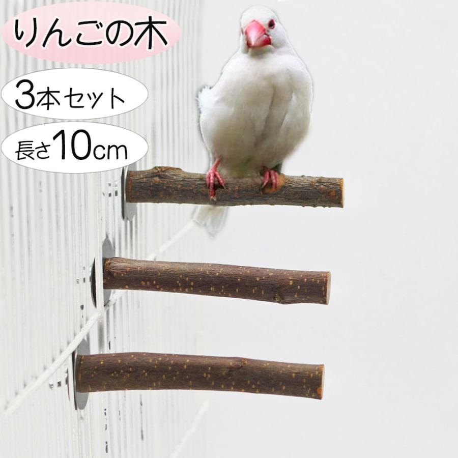 2026年1月】カクタスパーチのおすすめ人気ランキング - Yahoo!ショッピング