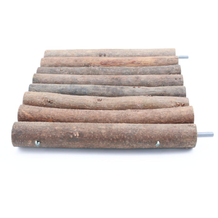 小動物 モルモット チンチラ デグー ステージ ステップ 鳥 インコ