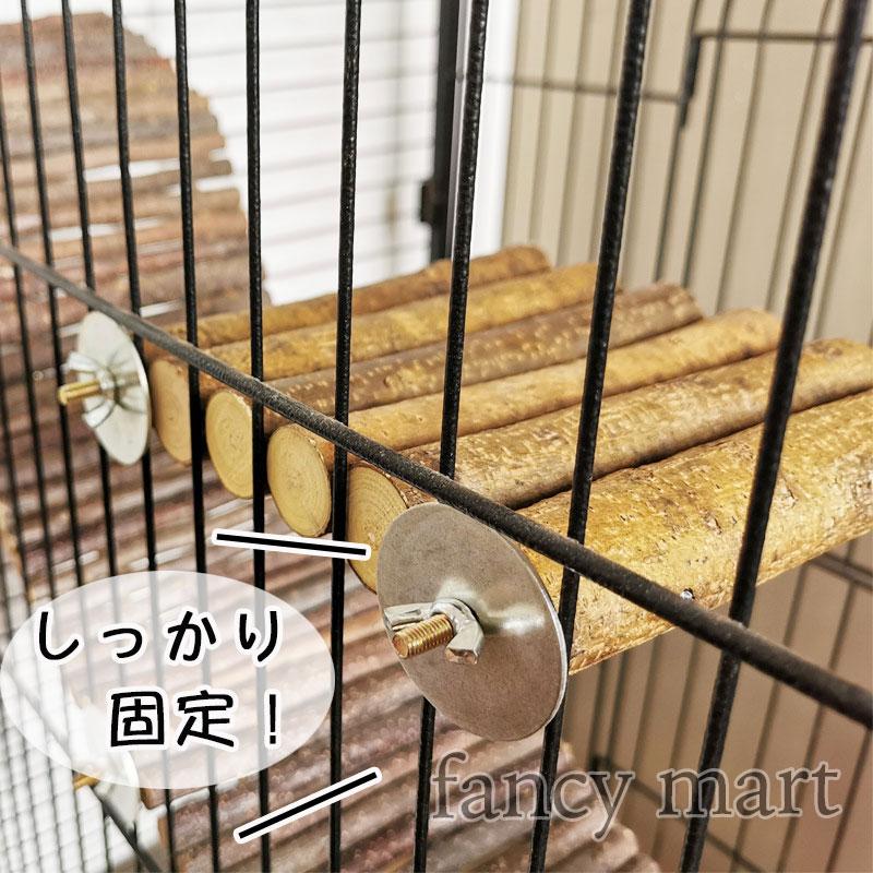小動物 モルモット チンチラ デグー ステージ ステップ 鳥 インコ