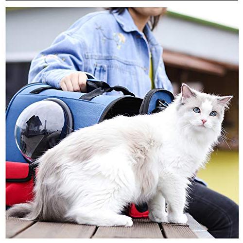 ペットキャリーバッグ リュック 宇宙船 カプセル型 広々空間 猫 軽量 小型犬用 ドライブ キャンピング 旅行 通院 災害避難用 耐荷重7kg (ブルー) （L）_1