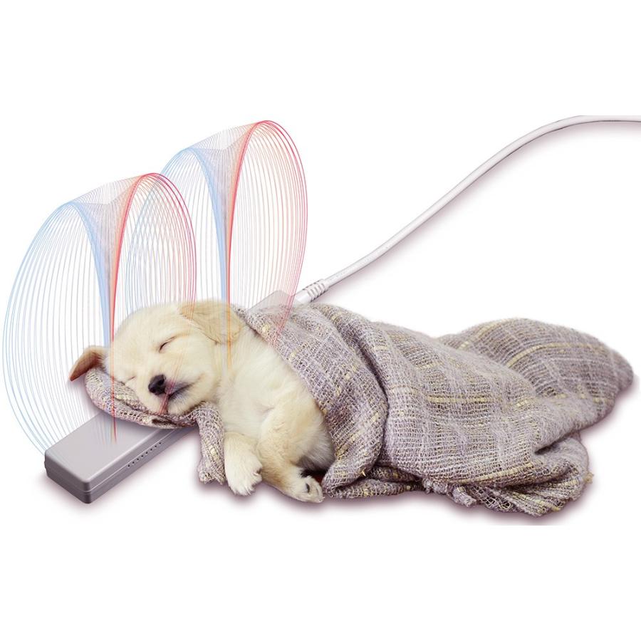 驚きの値段 磁気の力で健康サポート 電気磁気ユニット 犬 シニア 介護 低体温 安眠 日々の健康ケア 楽天ランキング1位 Jar Aiou Edu Pk