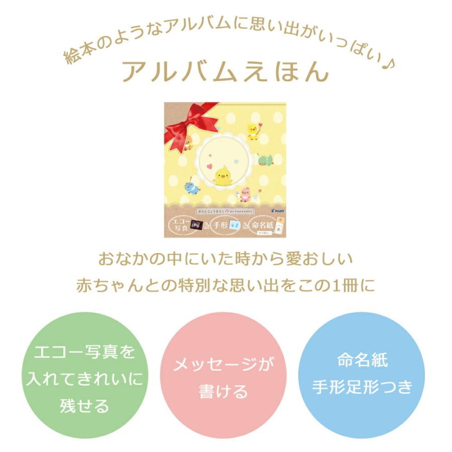 即発送可能 エコー写真 アルバム 10ツキ10カものがたり ひよこ オリジナル メッセージ 絵本 Tt05 Materialworldblog Com