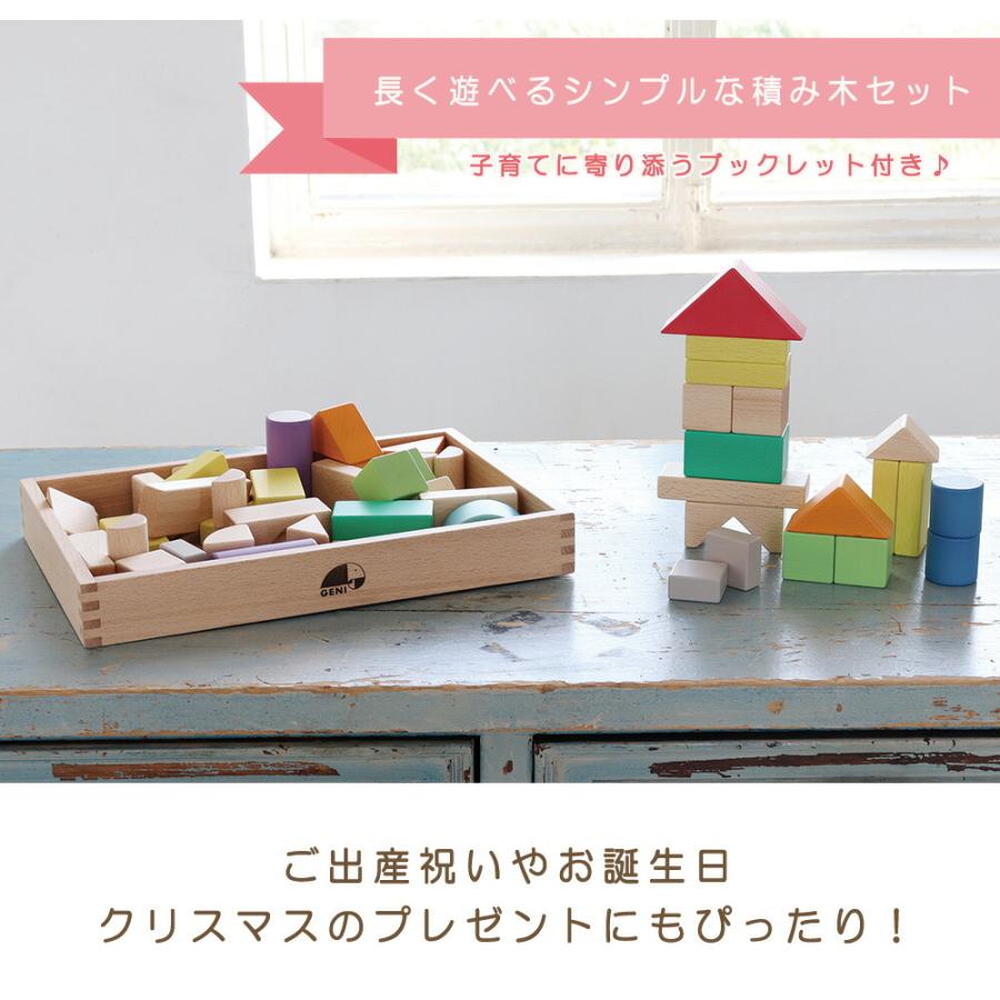 エド・インター（Ed・Inter） GENI My First Blocks Tsumin Color