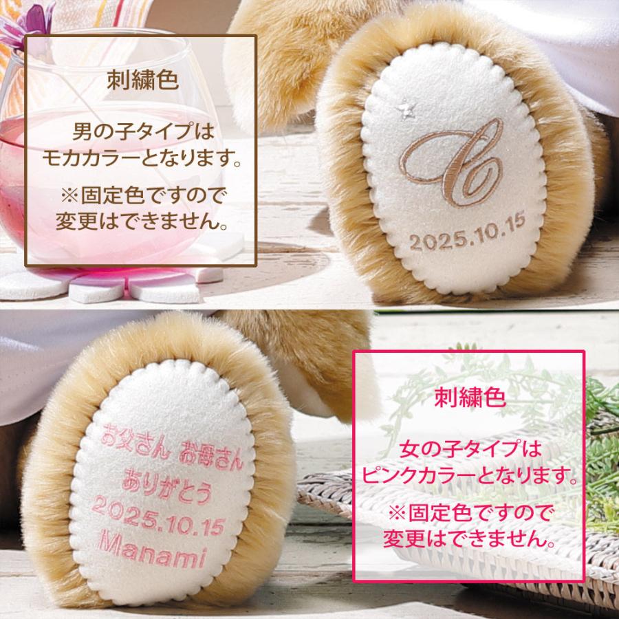 体重ベア キャメリーハワイ 1体 ウェイトベア 赤ちゃん ウェイトドール テディベア 名前 名入り 名入れ プレゼント 両親 プレゼント 結婚式 記念品 Pere J Ba Hwii Fanmary ファンメアリー 通販 Yahoo ショッピング