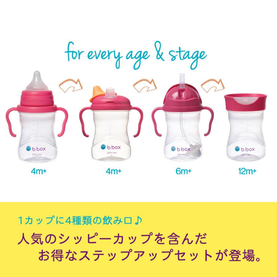 B Box ステップアップマグパック シッピーカップ 漏れない トレーニングマグ 哺乳瓶 水筒 ストロー ベビー マグ スパウト コップ ビーボックス Sum Tvp Fanmary ファンメアリー 通販 Yahoo ショッピング